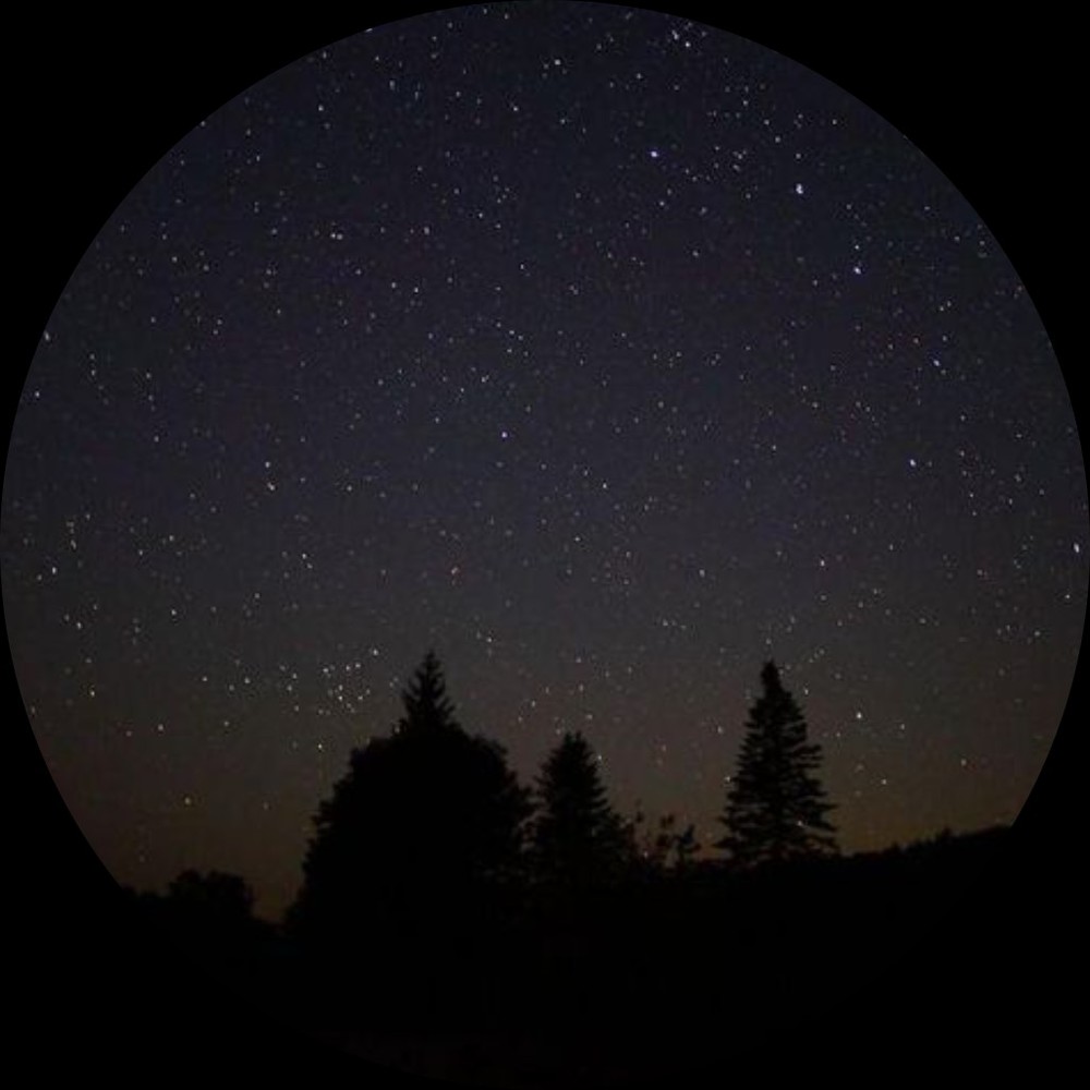 Meet your Posher, Ellie